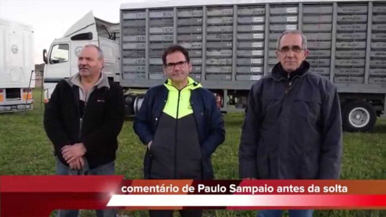 Associa&ccedil;&atilde;o Columb&oacute;fila do Porto: Hist&oacute;ria e Atividades