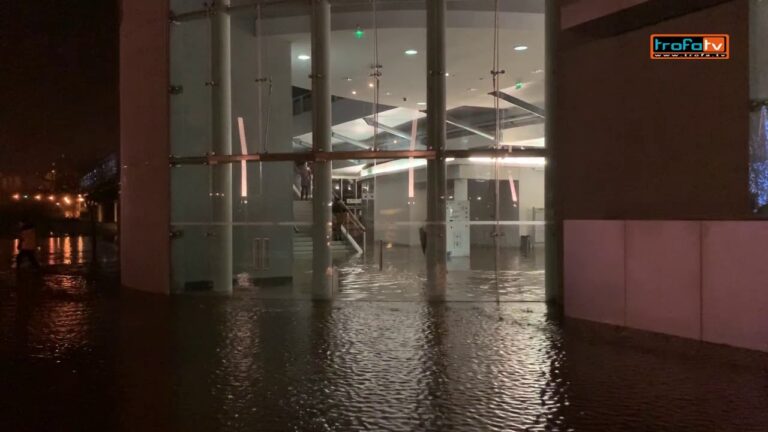 Guia de Meteorologia da Trofa: Previsões Precisas e Atualizadas