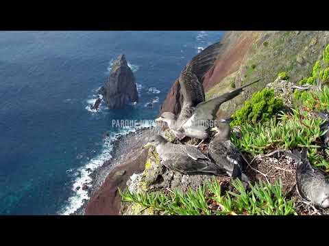 Explorando os Parques Naturais dos A&ccedil;ores
