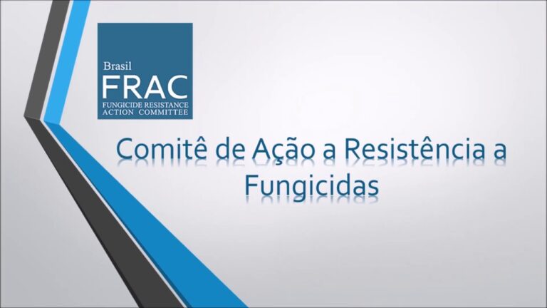 Explorando o Riac Parque Atlântico: Um Paraíso Natural à Beira-Mar