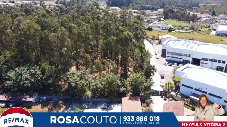 O Potencial da Zona Industrial de Várzea do Monte Santo Tirso