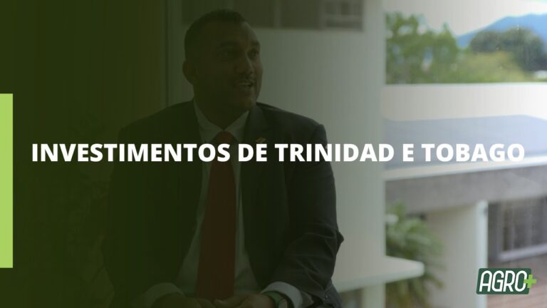 Otimizando a Produção de Produtos Agrícolas: Estratégias Eficientes